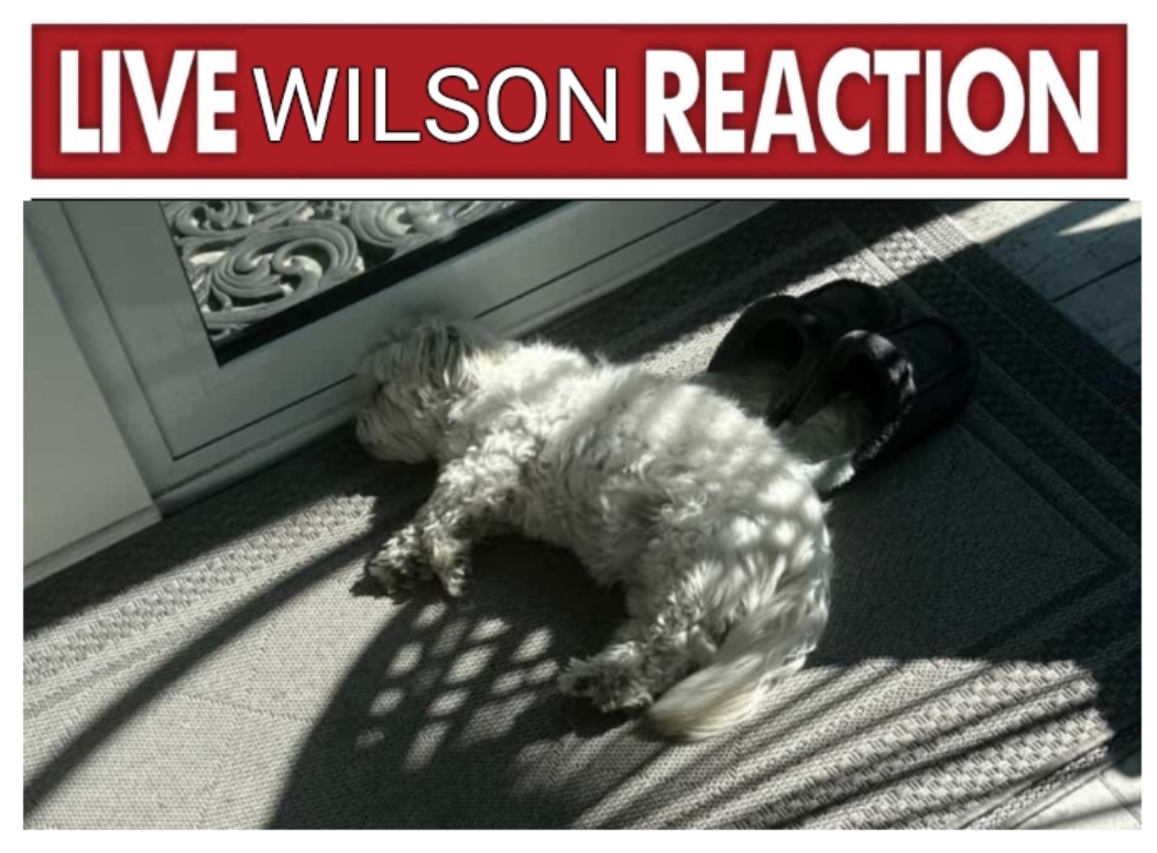 LIVE WILSON REACTION